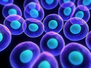 Paten SOP 100+ untuk regenerasi sel bagi penderita gagal ginjal